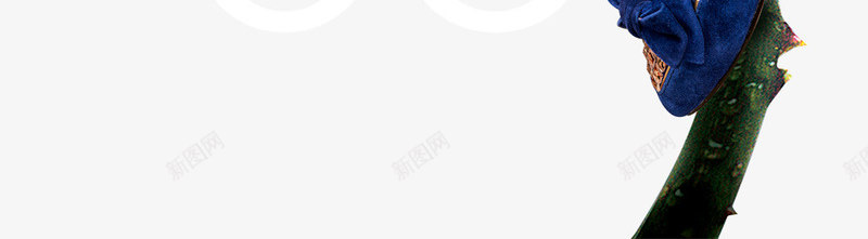 三八节png免抠素材_新图网 https://ixintu.com 促销海报 女人节 妇女节 活动海报 玫瑰花 节日海报 节日素材