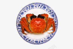 一只螃蟹盘子里的一只大螃蟹高清图片