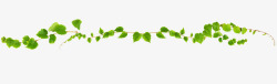 矢量树藤树藤藤蔓绿叶高清图片