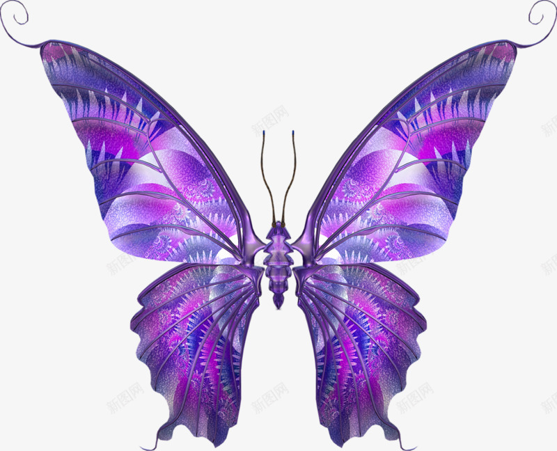 紫色蝴蝶png免抠素材_新图网 https://ixintu.com 紫色 蝴蝶