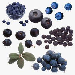 蓝色玻璃碗蓝色和紫色散乱的蓝莓熊果苷高清图片