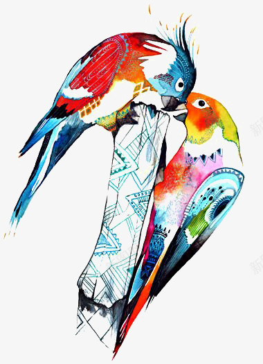 彩色鸟png免抠素材_新图网 https://ixintu.com 卡通 手绘 水彩 鸟类 鹦鹉