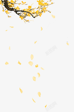 金梅花精致金色的梅花高清图片