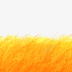 黄色插画素材库夏天黄色的麦田高清图片