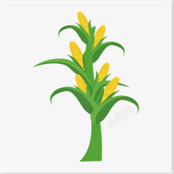 农业丰收绿色玉米丰收手绘图高清图片