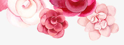挚爱粉红花卉高清图片