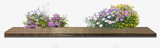 花卉专辑png免抠素材_新图网 https://ixintu.com 木板 板子 花卉 花朵 装饰品