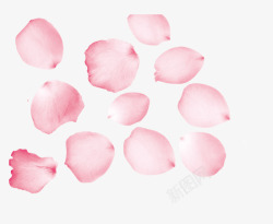 粉色梦幻玫瑰花瓣素材
