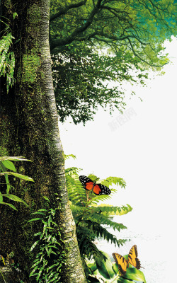 飞舞的植物森林大树花蝴蝶高清图片