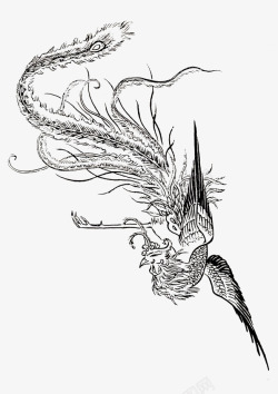 手绘凤凰素材