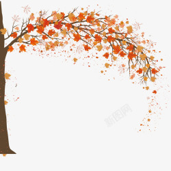 秋季落叶秋天枫树背景高清图片