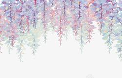 细长紫藤花的淡色背景高清图片
