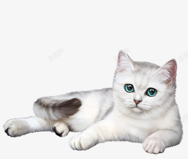 白色的猫咪png免抠素材_新图网 https://ixintu.com 动物 可爱 尾巴 手绘 毛发 爪子 猫咪 白色的 眼睛