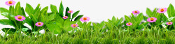 春天郊外美景春天草地美景植物花草高清图片