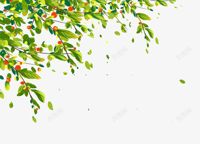 树叶png免抠素材_新图网 https://ixintu.com 树叶 漂浮 红色果实 绿色 落叶
