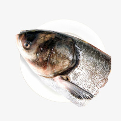 鲢鱼产品实物鱼花鲢鱼鱼头高清图片