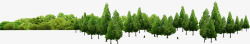 绿色清新大树树林植物素材