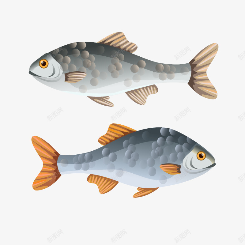 两条咸鱼矢量图ai免抠素材_新图网 https://ixintu.com 死鱼 食物 鱼类 鲤鱼 矢量图