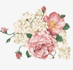 白粉色手绘花朵素材