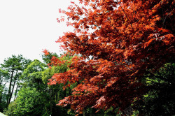 安徽黄山风景素材