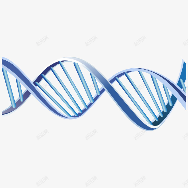 基因png免抠素材_新图网 https://ixintu.com DNA DNA双螺旋结构图片 DNA遗传基因 人类基因 医疗科学 基因 干细胞 生物学 细胞