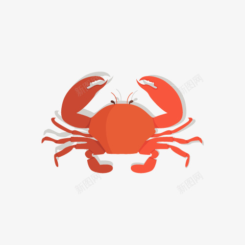 海鲜螃蟹png免抠素材_新图网 https://ixintu.com 大海 沙滩 海水 海鲜 红色的 美味 螃蟹 螃蟹钳