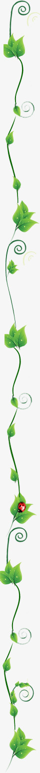 手绘藤蔓素材春天手绘藤蔓绿叶高清图片