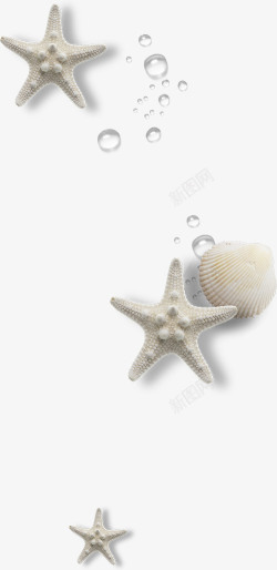 贝壳清新画风的海星高清图片