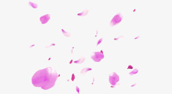 梦幻紫红色的花瓣素材