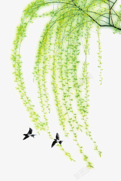 手绘垂柳手绘燕子绿色垂柳图高清图片