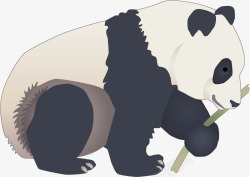 大熊猫手绘矢量图素材