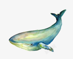 文艺插图鲸鱼高清图片