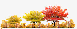 农家小院秋季风景红色枫叶高清图片
