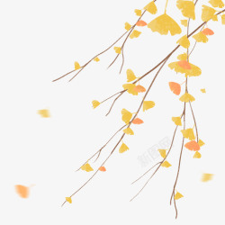 飘浮秋天银杏树叶高清图片