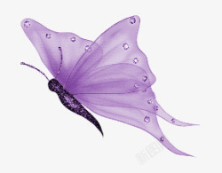 潮流渐变背景紫色蝴蝶高清图片