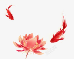 彩墨动物红色的莲花和鲤鱼高清图片