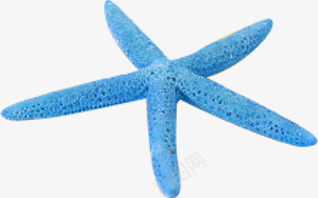 摄影沙滩海边蓝色海星png免抠素材_新图网 https://ixintu.com 摄影 沙滩 海星 海边 蓝色