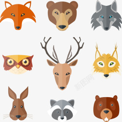 野生狐狸9款野生动物头像高清图片