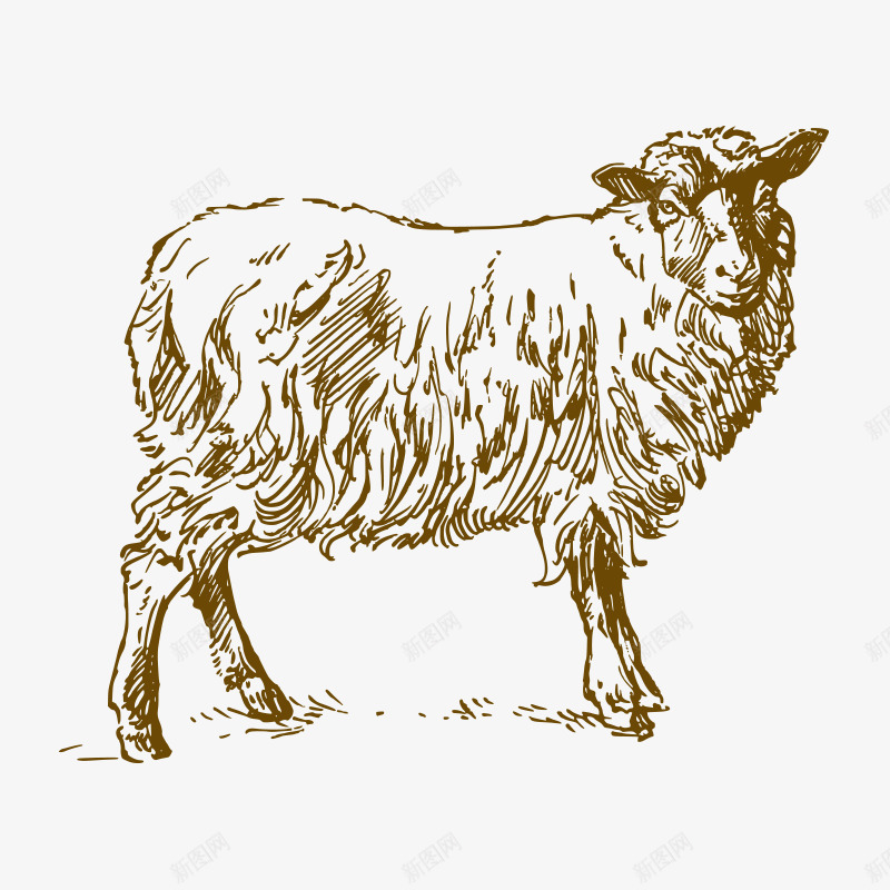 素描动物png免抠素材_新图网 https://ixintu.com 动物 动物世界 素描 线绘羊 羊 陆地动物