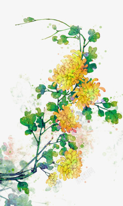 重阳节花手绘花卉黄色菊花高清图片