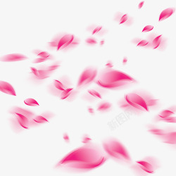 粉红渐变背景粉红渐变飘扬的玫瑰花瓣高清图片