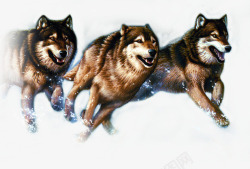 动物奔跑七匹狼电商素材