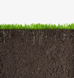 土壤剖面草丛土壤横剖面高清图片