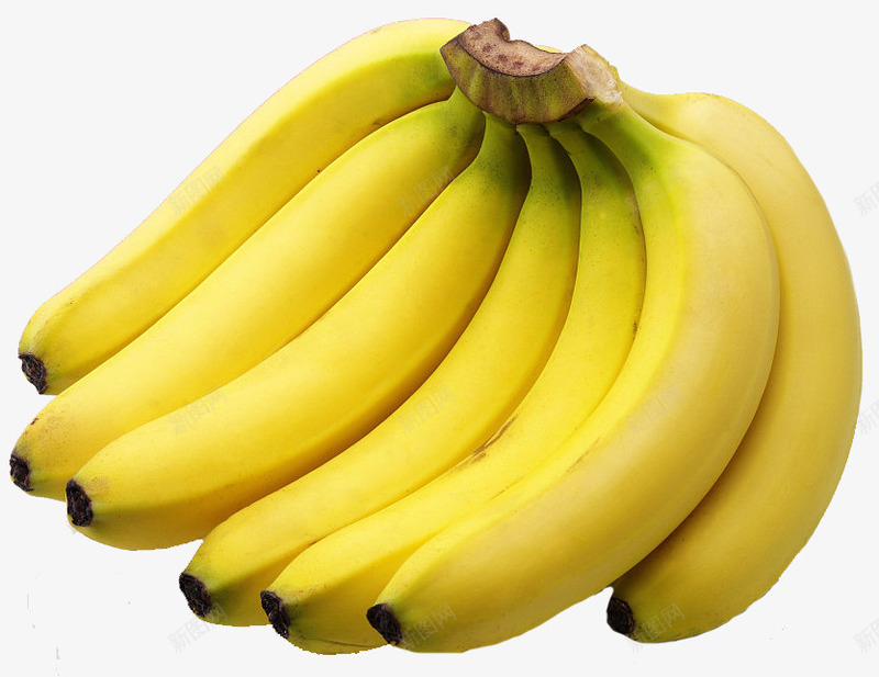 新鲜好吃的香蕉png免抠素材_新图网 https://ixintu.com 大香蕉大 好吃 新鲜 的香 蕉