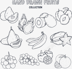 黑白水果标签手绘素描水果矢量图高清图片