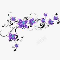 紫色小花枝花藤高清图片