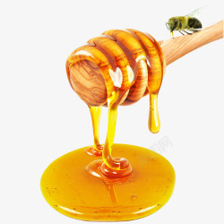 食品原料蜂蜜片高清图片