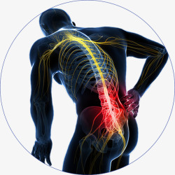 人体疼痛部位腰痛人体经脉骨架透视高清图片