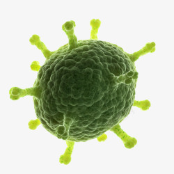 医学科研细菌病毒高清图片