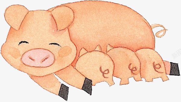 小猪仔和母猪png免抠素材_新图网 https://ixintu.com 卡通 吃奶 小猪仔 尾巴 手绘 母猪 简图 红色